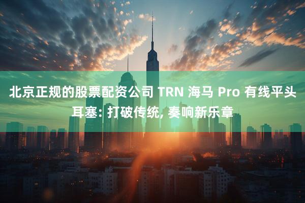 北京正规的股票配资公司 TRN 海马 Pro 有线平头耳塞: 打破传统, 奏响新乐章